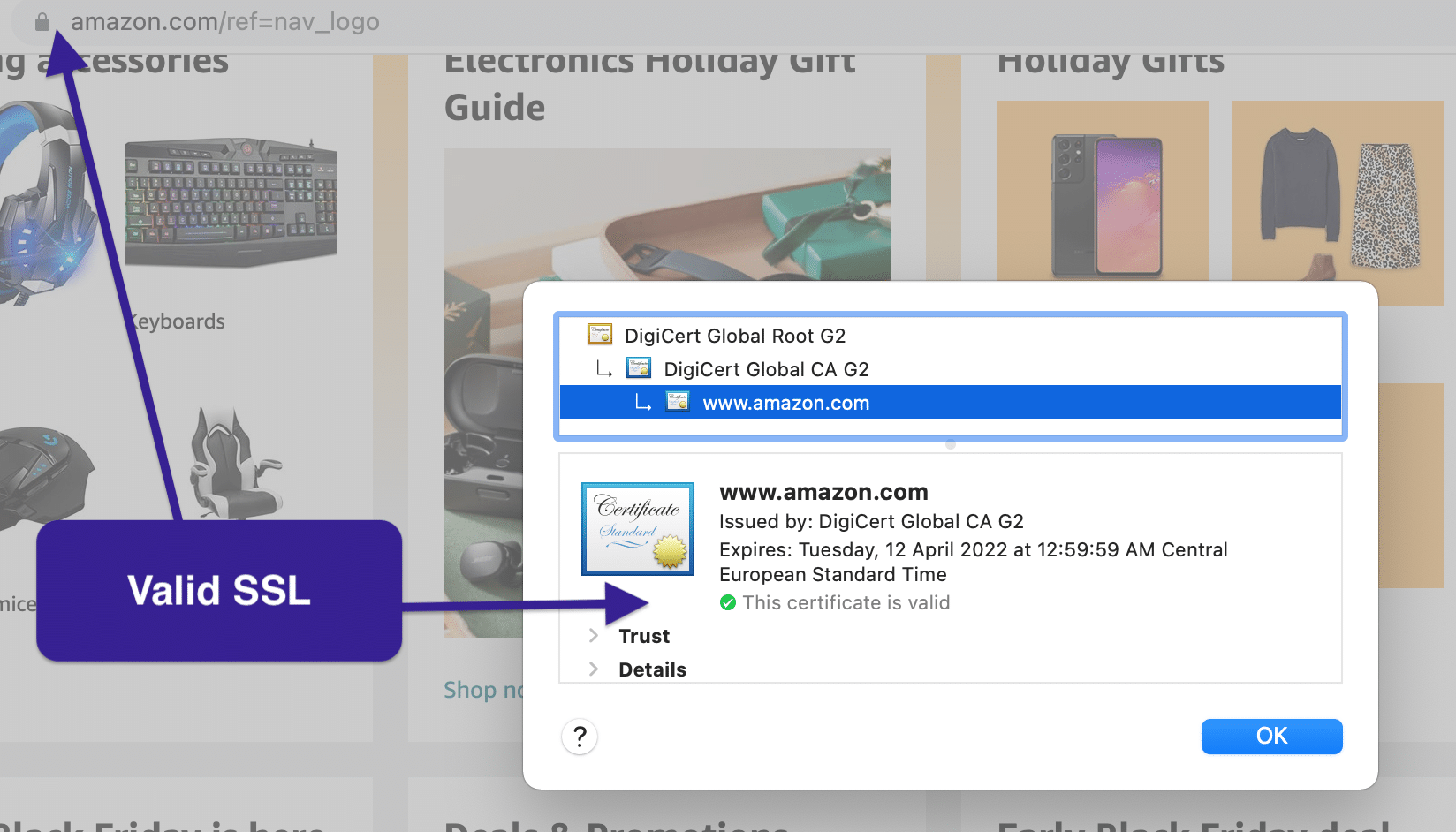 Valid website SSL security check
